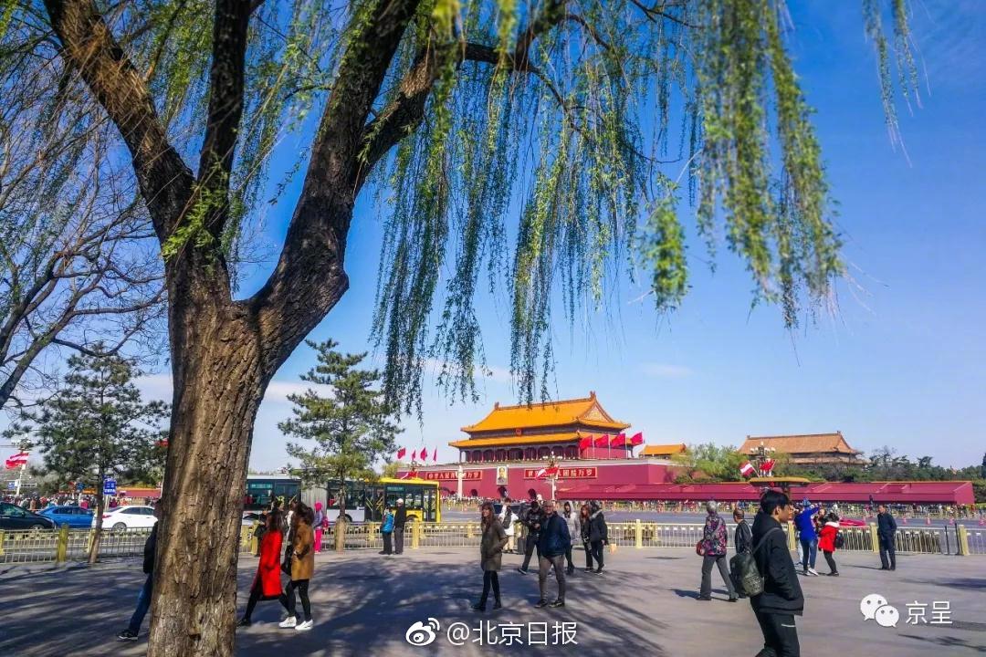 全面战争战锤3歃血为盟成就怎么做