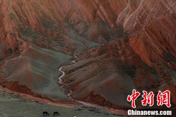 赛博朋克2077子弹时间怎么解锁