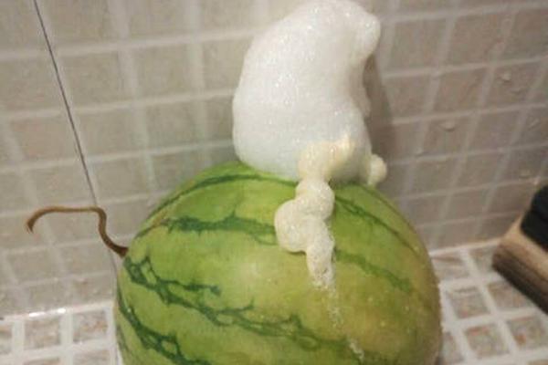 狩猎之道沼泽地形看不见驼鹿怎么办