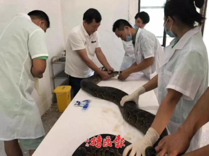 鬼谷八荒洪荒灵根系怎么玩