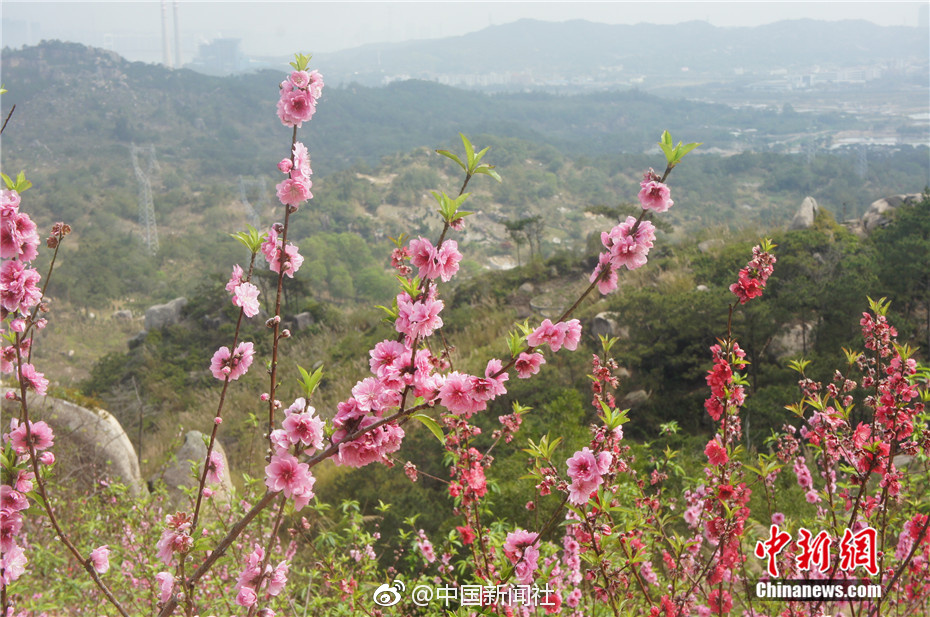 黑帝斯冥府零钱包怎么解锁